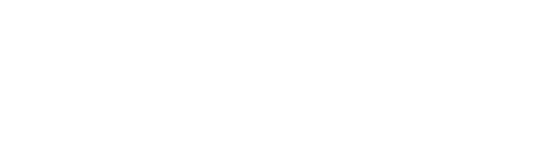 Platform Agency Logo